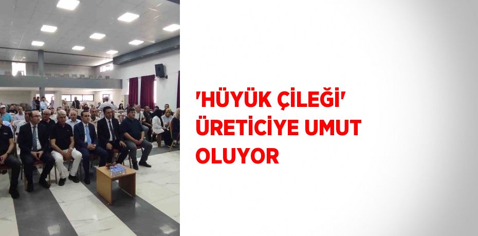 'HÜYÜK ÇİLEĞİ' ÜRETİCİYE UMUT OLUYOR