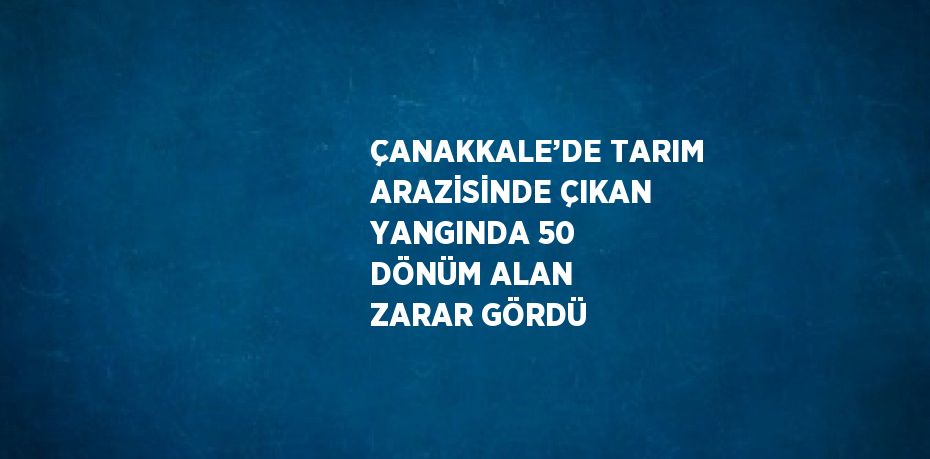ÇANAKKALE’DE TARIM ARAZİSİNDE ÇIKAN YANGINDA 50 DÖNÜM ALAN ZARAR GÖRDÜ