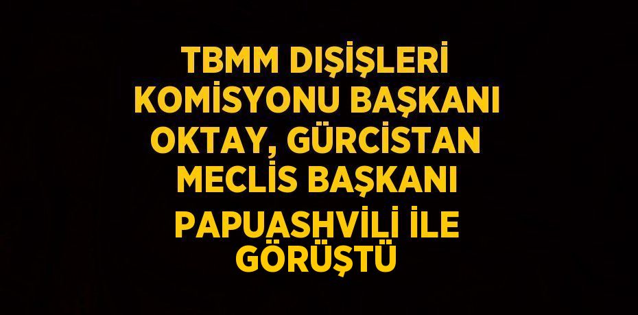 TBMM DIŞİŞLERİ KOMİSYONU BAŞKANI OKTAY, GÜRCİSTAN MECLİS BAŞKANI PAPUASHVİLİ İLE GÖRÜŞTÜ