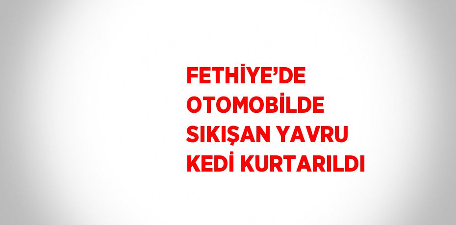 FETHİYE’DE OTOMOBİLDE SIKIŞAN YAVRU KEDİ KURTARILDI