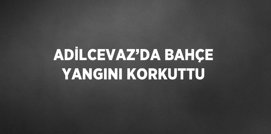 ADİLCEVAZ’DA BAHÇE YANGINI KORKUTTU