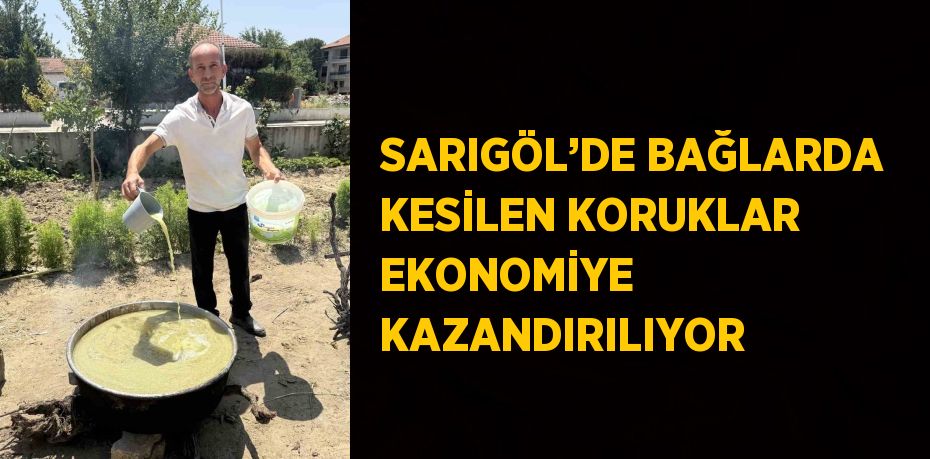 SARIGÖL’DE BAĞLARDA KESİLEN KORUKLAR EKONOMİYE KAZANDIRILIYOR