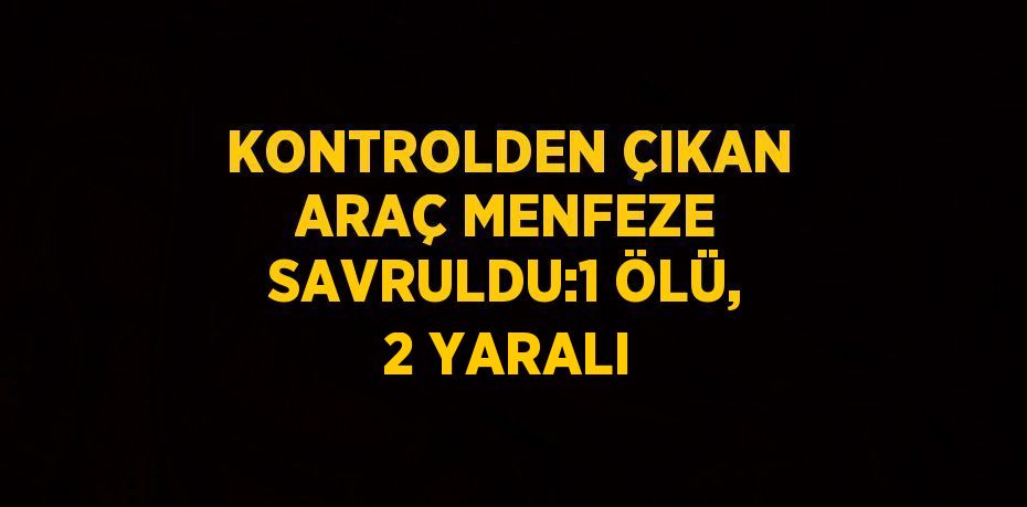 KONTROLDEN ÇIKAN ARAÇ MENFEZE SAVRULDU:1 ÖLÜ, 2 YARALI