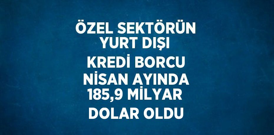 ÖZEL SEKTÖRÜN YURT DIŞI KREDİ BORCU NİSAN AYINDA 185,9 MİLYAR DOLAR OLDU