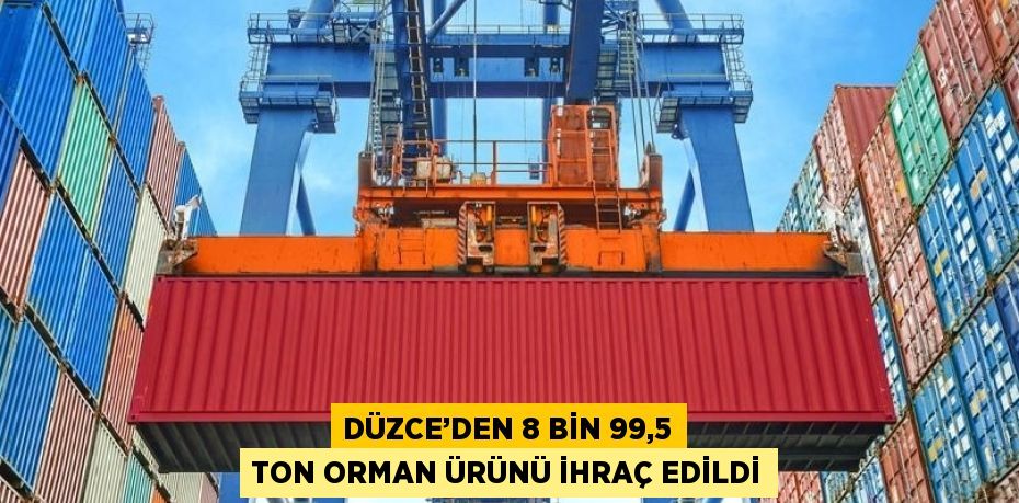 DÜZCE’DEN 8 BİN 99,5 TON ORMAN ÜRÜNÜ İHRAÇ EDİLDİ