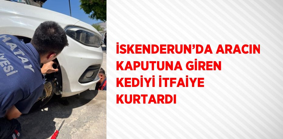İSKENDERUN’DA ARACIN KAPUTUNA GİREN KEDİYİ İTFAİYE KURTARDI