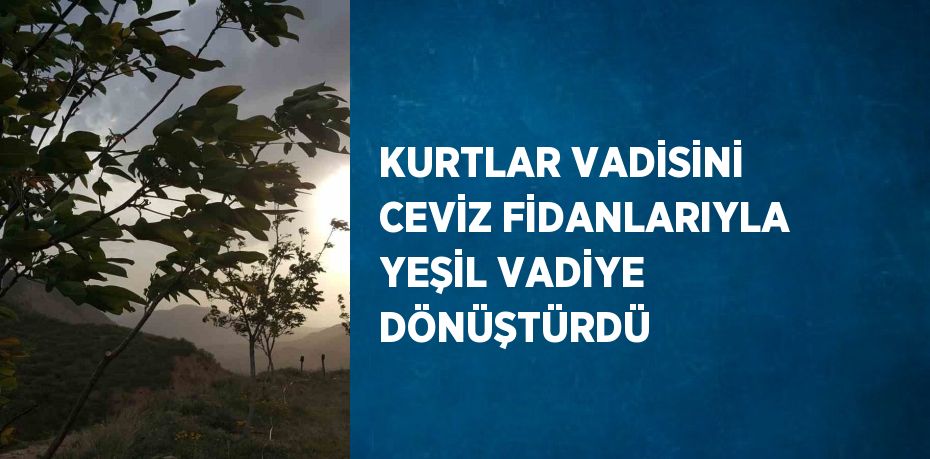 KURTLAR VADİSİNİ CEVİZ FİDANLARIYLA YEŞİL VADİYE DÖNÜŞTÜRDÜ