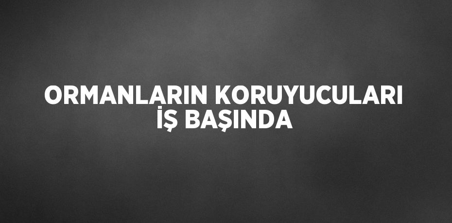 ORMANLARIN KORUYUCULARI İŞ BAŞINDA