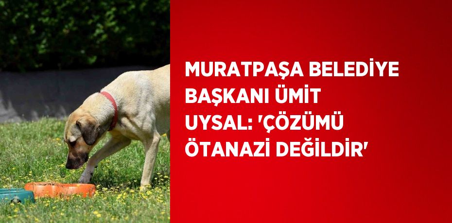 MURATPAŞA BELEDİYE BAŞKANI ÜMİT UYSAL: 'ÇÖZÜMÜ ÖTANAZİ DEĞİLDİR'