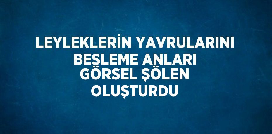 LEYLEKLERİN YAVRULARINI BESLEME ANLARI GÖRSEL ŞÖLEN OLUŞTURDU