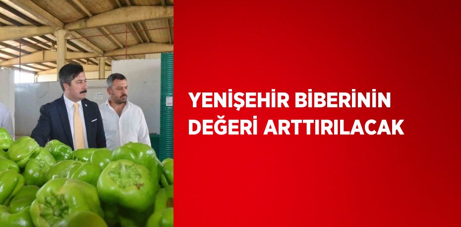 YENİŞEHİR BİBERİNİN DEĞERİ ARTTIRILACAK