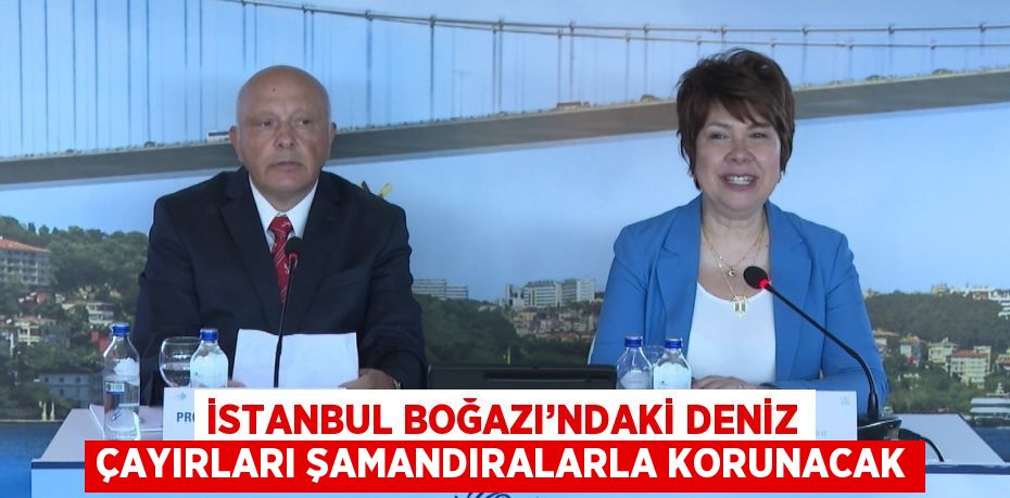 İSTANBUL BOĞAZI’NDAKİ DENİZ ÇAYIRLARI ŞAMANDIRALARLA KORUNACAK
