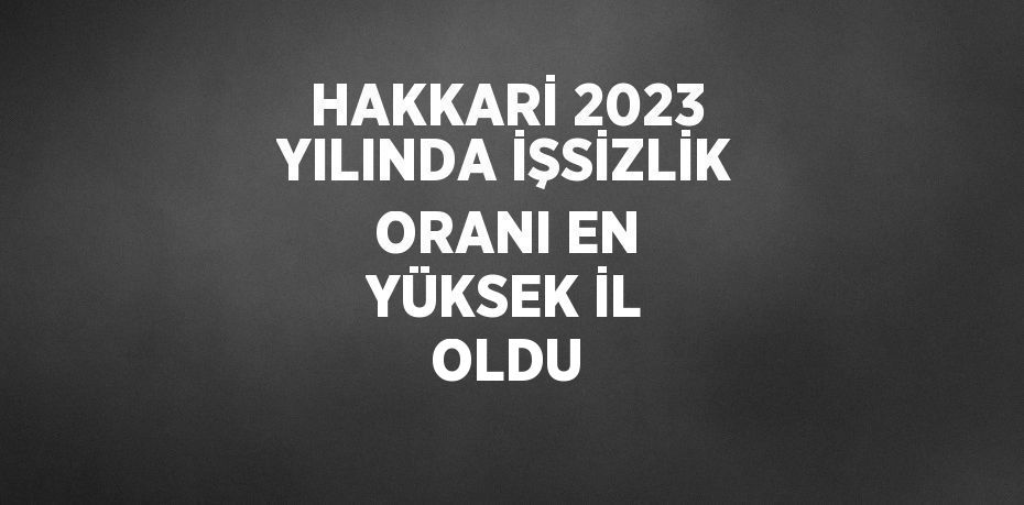 HAKKARİ 2023 YILINDA İŞSİZLİK ORANI EN YÜKSEK İL OLDU