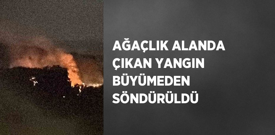 AĞAÇLIK ALANDA ÇIKAN YANGIN BÜYÜMEDEN SÖNDÜRÜLDÜ