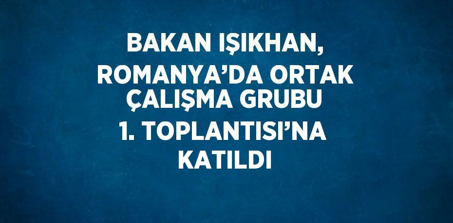 BAKAN IŞIKHAN, ROMANYA’DA ORTAK ÇALIŞMA GRUBU 1. TOPLANTISI’NA KATILDI