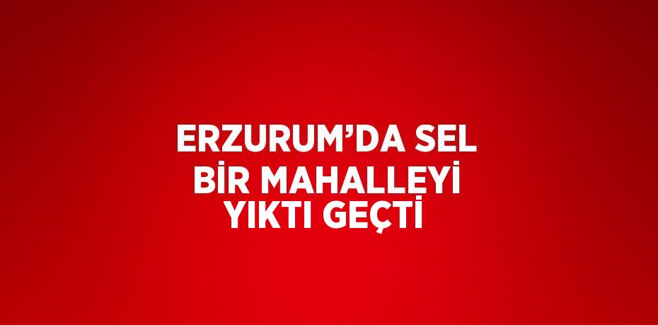 ERZURUM’DA SEL BİR MAHALLEYİ YIKTI GEÇTİ