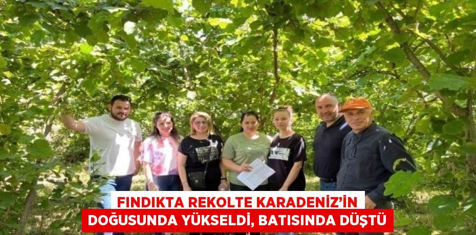 FINDIKTA REKOLTE KARADENİZ’İN DOĞUSUNDA YÜKSELDİ, BATISINDA DÜŞTÜ