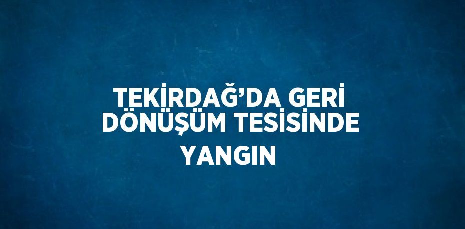 TEKİRDAĞ’DA GERİ DÖNÜŞÜM TESİSİNDE YANGIN