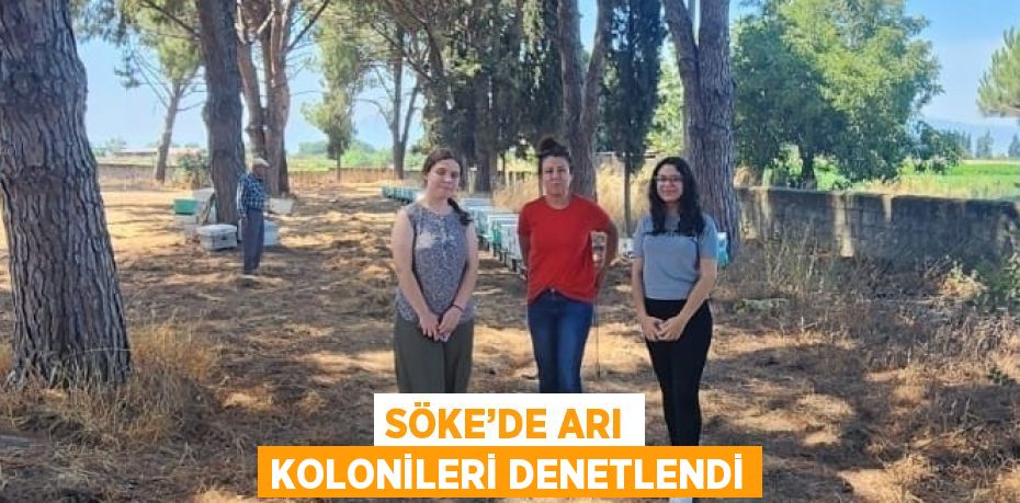 SÖKE’DE ARI KOLONİLERİ DENETLENDİ