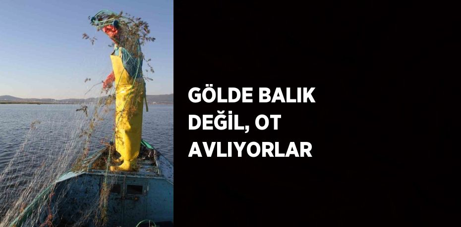 GÖLDE BALIK DEĞİL, OT AVLIYORLAR