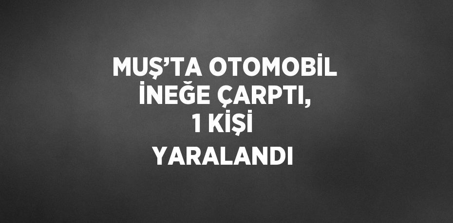 MUŞ’TA OTOMOBİL İNEĞE ÇARPTI, 1 KİŞİ YARALANDI