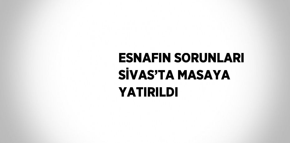 ESNAFIN SORUNLARI SİVAS’TA MASAYA YATIRILDI