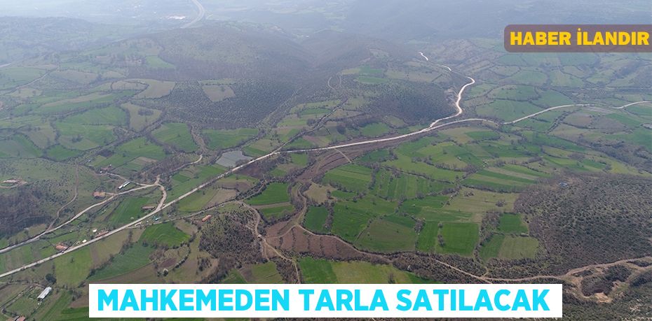 Mahkemeden Tarla Satılacak