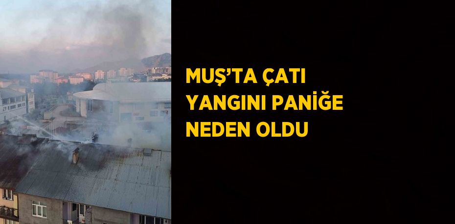 MUŞ’TA ÇATI YANGINI PANİĞE NEDEN OLDU