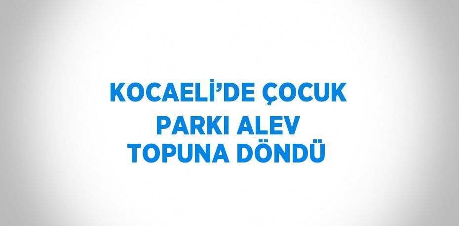 KOCAELİ’DE ÇOCUK PARKI ALEV TOPUNA DÖNDÜ
