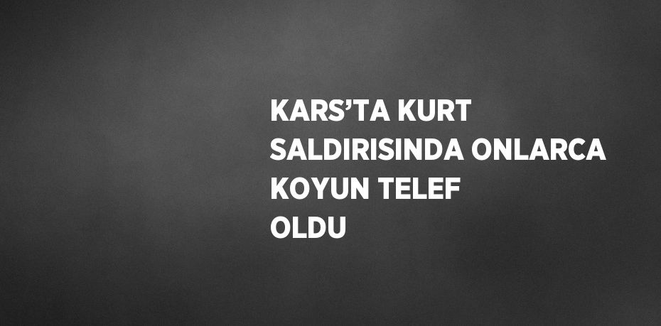 KARS’TA KURT SALDIRISINDA ONLARCA KOYUN TELEF OLDU
