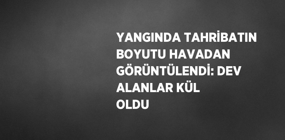 YANGINDA TAHRİBATIN BOYUTU HAVADAN GÖRÜNTÜLENDİ: DEV ALANLAR KÜL OLDU