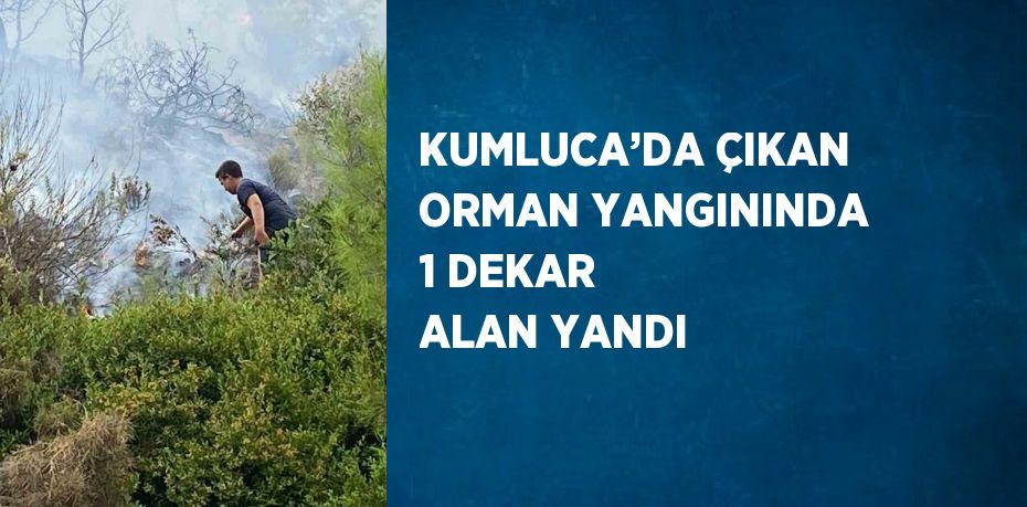 KUMLUCA’DA ÇIKAN ORMAN YANGININDA 1 DEKAR ALAN YANDI