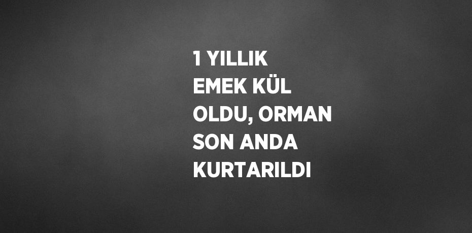 1 YILLIK EMEK KÜL OLDU, ORMAN SON ANDA KURTARILDI