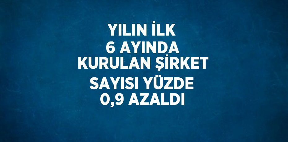 YILIN İLK 6 AYINDA KURULAN ŞİRKET SAYISI YÜZDE 0,9 AZALDI