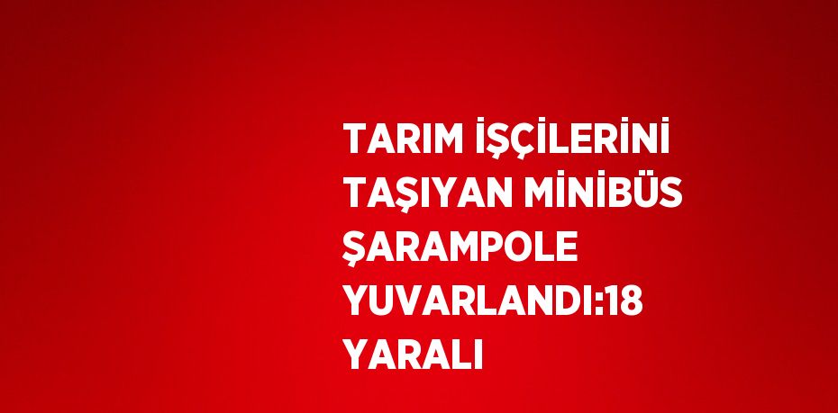 TARIM İŞÇİLERİNİ TAŞIYAN MİNİBÜS ŞARAMPOLE YUVARLANDI:18 YARALI