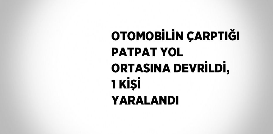 OTOMOBİLİN ÇARPTIĞI PATPAT YOL ORTASINA DEVRİLDİ, 1 KİŞİ YARALANDI