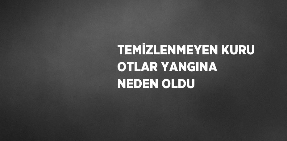 TEMİZLENMEYEN KURU OTLAR YANGINA NEDEN OLDU