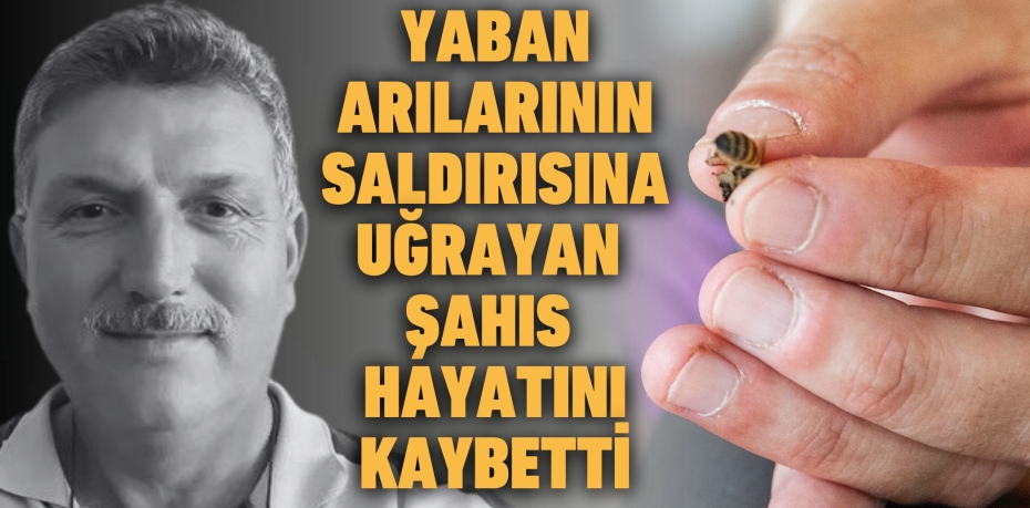 Yaban arılarının saldırısına uğrayan şahıs hayatını kaybetti