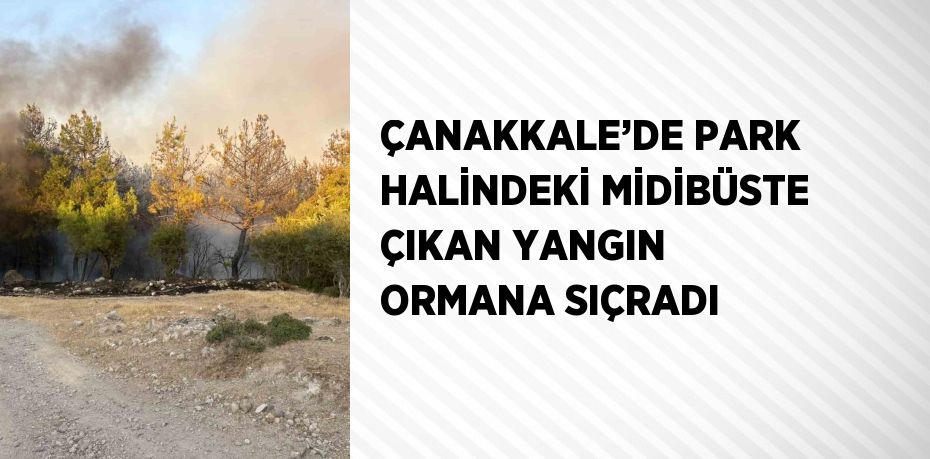 ÇANAKKALE’DE PARK HALİNDEKİ MİDİBÜSTE ÇIKAN YANGIN ORMANA SIÇRADI