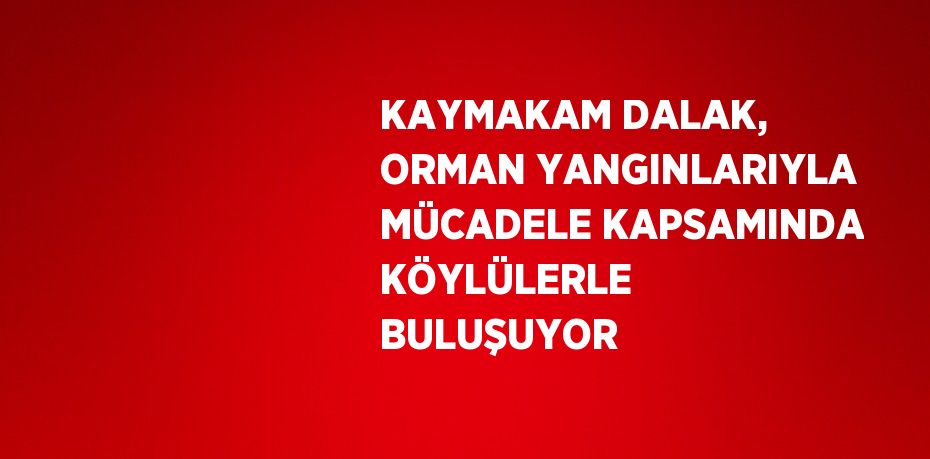 KAYMAKAM DALAK, ORMAN YANGINLARIYLA MÜCADELE KAPSAMINDA KÖYLÜLERLE BULUŞUYOR