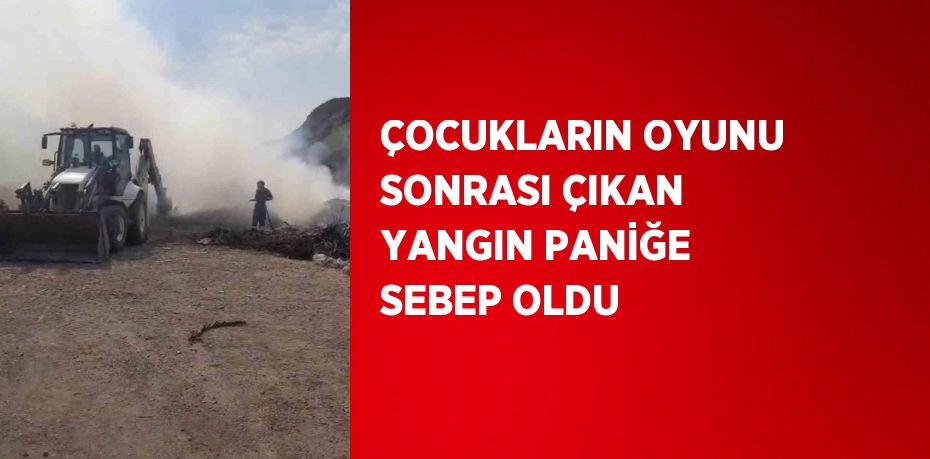 ÇOCUKLARIN OYUNU SONRASI ÇIKAN YANGIN PANİĞE SEBEP OLDU