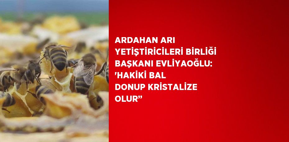 ARDAHAN ARI YETİŞTİRİCİLERİ BİRLİĞİ BAŞKANI EVLİYAOĞLU: 'HAKİKİ BAL DONUP KRİSTALİZE OLUR’’