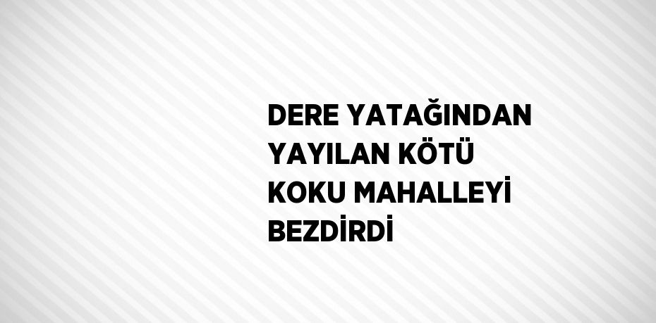 DERE YATAĞINDAN YAYILAN KÖTÜ KOKU MAHALLEYİ BEZDİRDİ