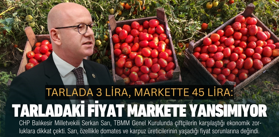 TARLADA 3 LİRA, MARKETTE 45 LİRA: TARLADAKİ FİYAT MARKETE YANSIMIYOR