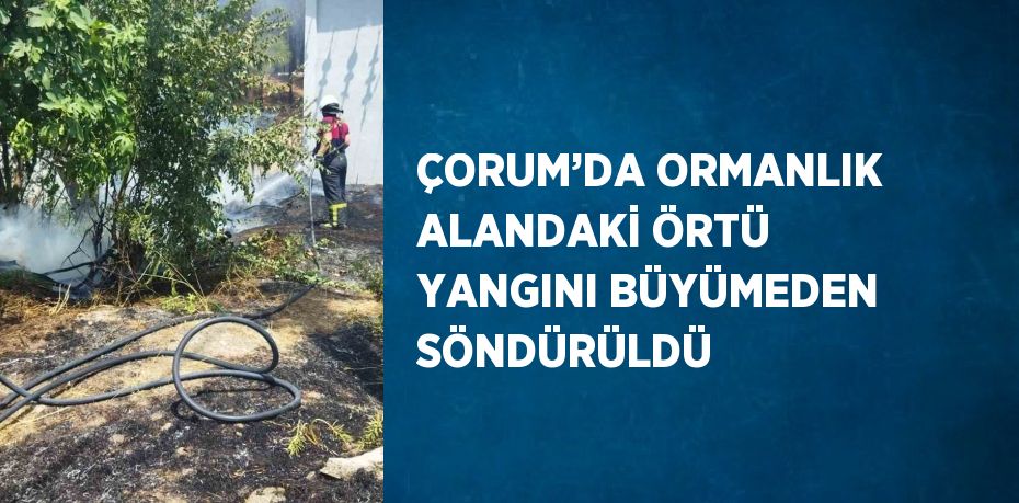 ÇORUM’DA ORMANLIK ALANDAKİ ÖRTÜ YANGINI BÜYÜMEDEN SÖNDÜRÜLDÜ