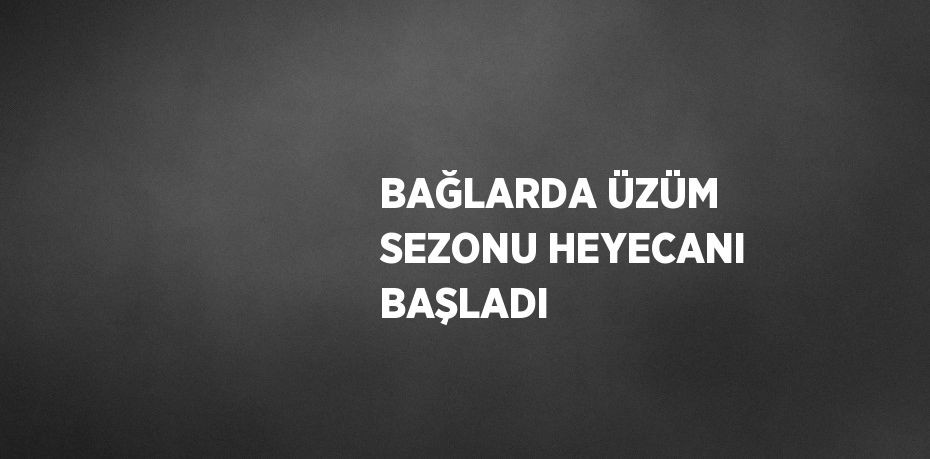 BAĞLARDA ÜZÜM SEZONU HEYECANI BAŞLADI