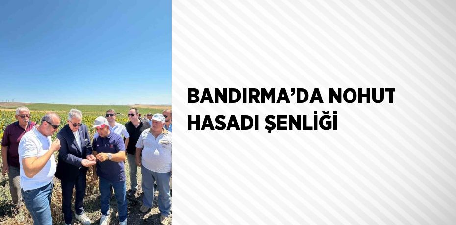 BANDIRMA’DA NOHUT HASADI ŞENLİĞİ