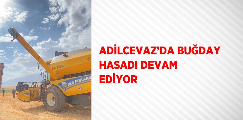 ADİLCEVAZ’DA BUĞDAY HASADI DEVAM EDİYOR