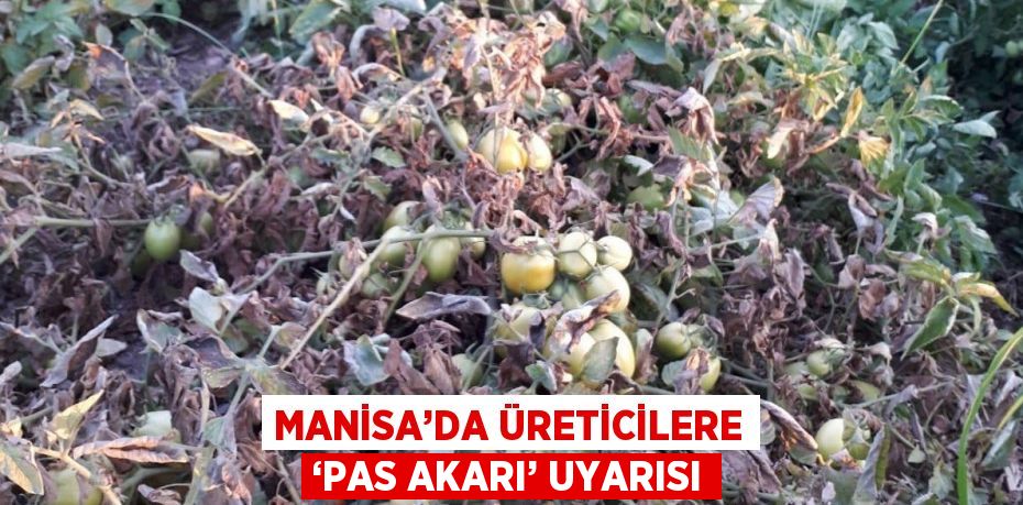 MANİSA’DA ÜRETİCİLERE ‘PAS AKARI’ UYARISI
