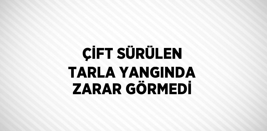 ÇİFT SÜRÜLEN TARLA YANGINDA ZARAR GÖRMEDİ